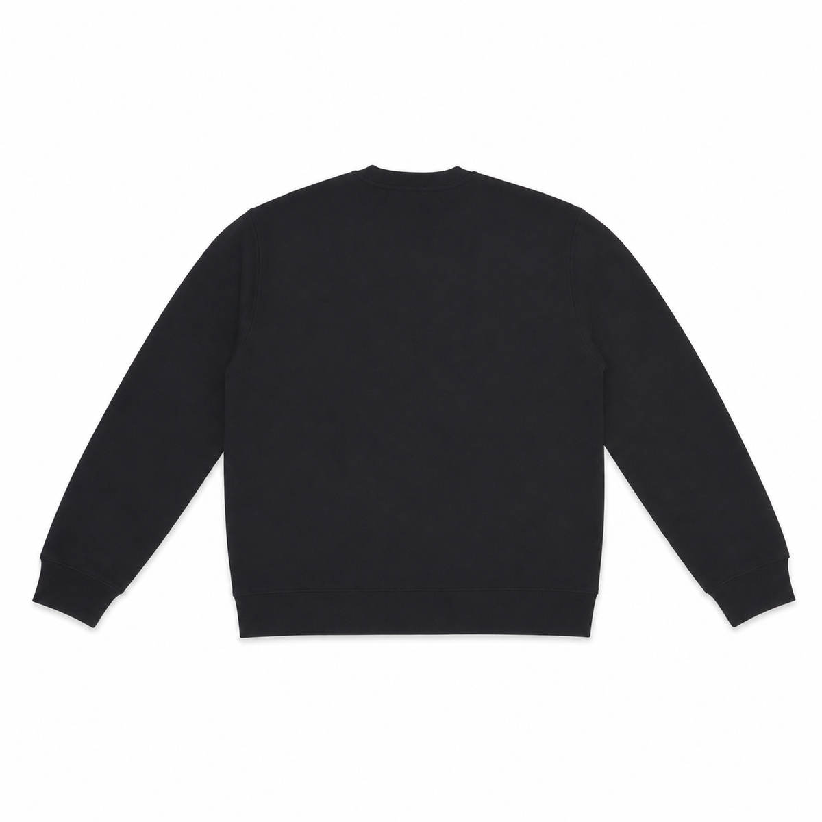 Men Graphic Print Round Neck Sweatshirt