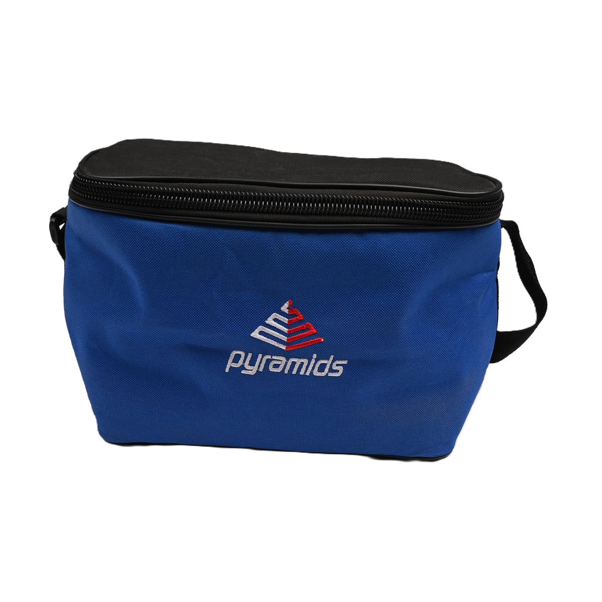 Insulated Lunch Cooler Bag