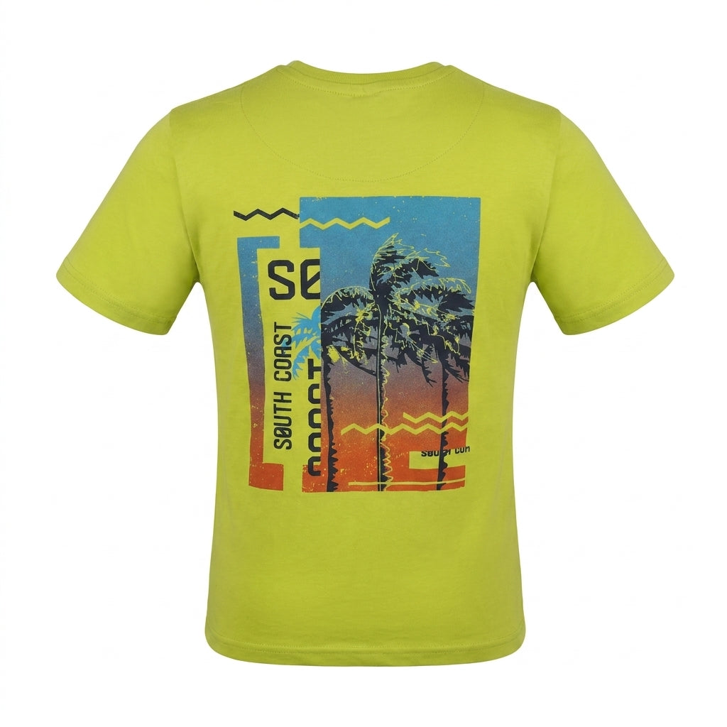 Boys Graphic Crew Neck T Shirt