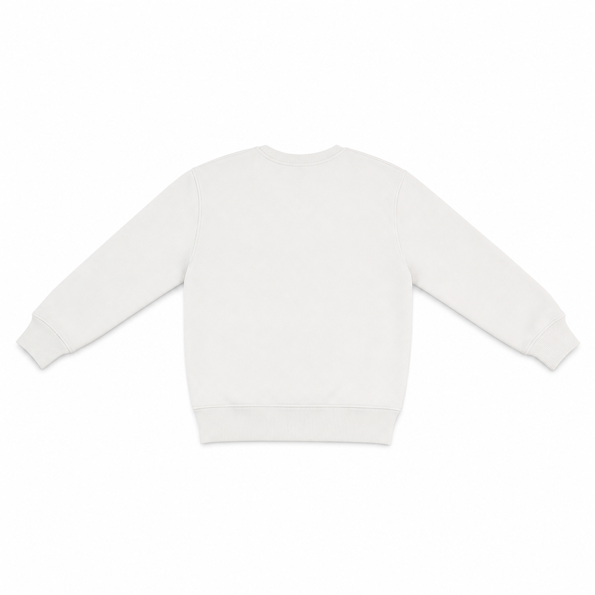 Boys Printed Crew Neck Sweatshirt