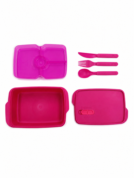 Multi-compartment lunch box with cutlery