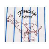 Women Striped Embroidered Short Sleeve Top
