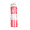 Super Cool Mini Insulated Water Bottle