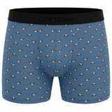 Men Eagle Print Boxer Briefs