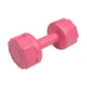 DUMBBELL AND PLATES